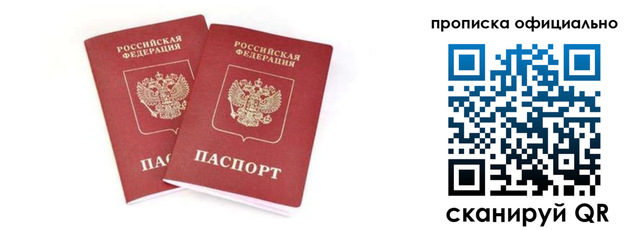 где прописаться в Александрове